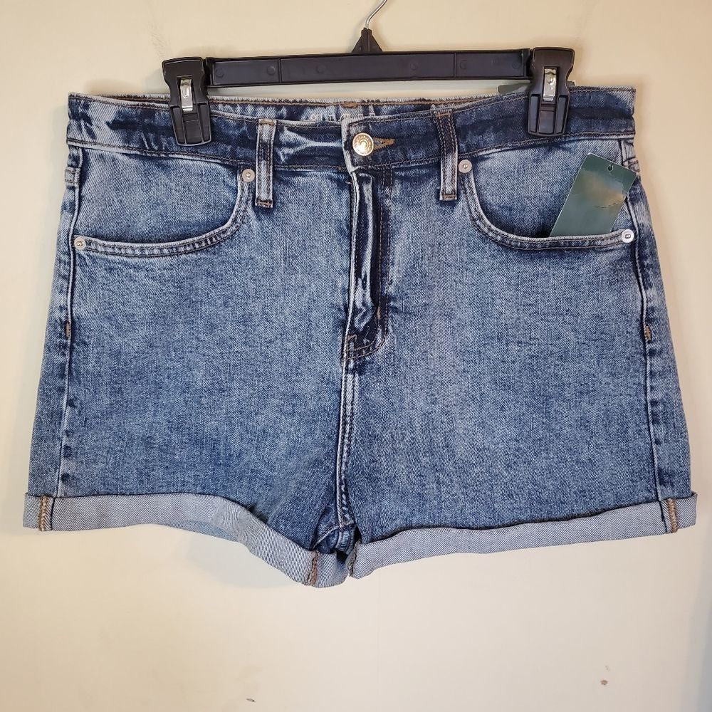 High Rise Jean Shorts